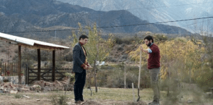 Lee más sobre el artículo Mendoza, presente en la edición 41 del Festival Internacional de Cine de Guadalajara